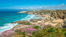 The NCC claims that the state of nature in the UK has not improved since 2011